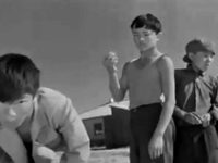   (1966)
