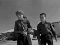   (1966)