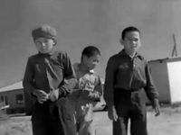   (1966)