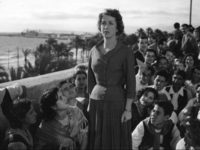   (1954)