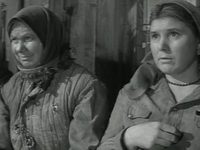  (1964)