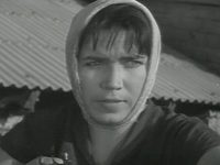  (1964)