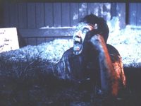   (1987)
