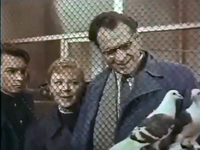   (1959)