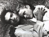   (1988) 
