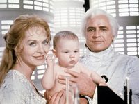  (1978) 
