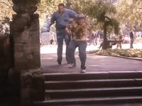    (1993) 
