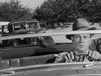   ,  (1950) 
