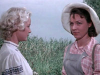    (1956)
