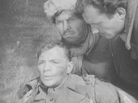    11 (1942)