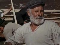   (1979)
