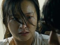   (2016) -  16