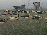     2 (2009) -  37