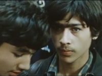       (1975) 

