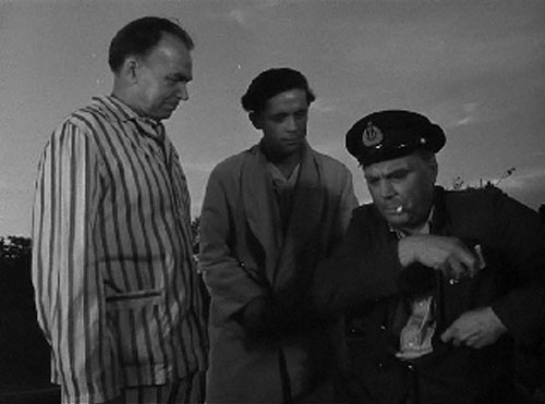   (1963)