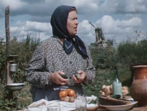  (1975)