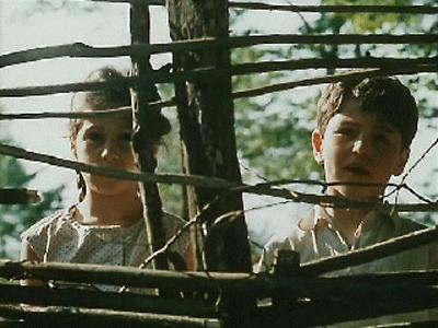   (1989)