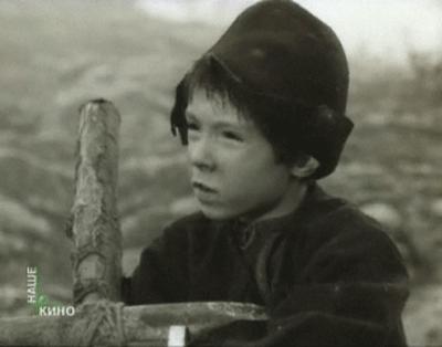  (1987)