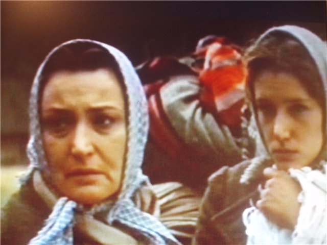 (1986)