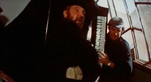    (1981)