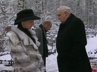   (2006)