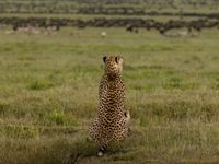   (2022) 
