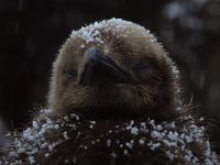   (2022) 
