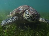   (2022) 
