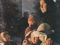   (1981) 
