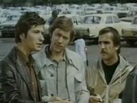   (1981) 
