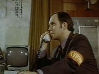   (1981)