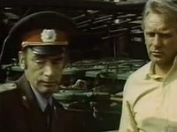   (1981)