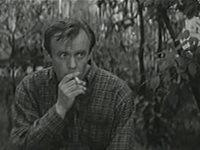 ϸ  (1972)