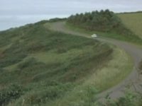   (2008) 
