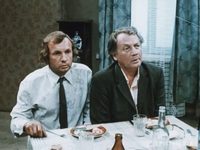  (1981)