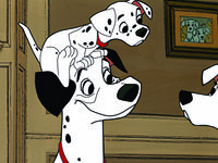 101  (1961) 
