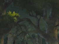    (2005) -  33