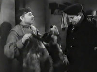   (1964) -  30