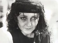    (1979) 
