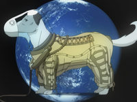 ,    (2021) 
