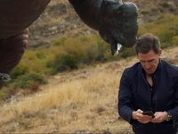    (2017) 
