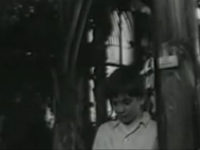  (1969)