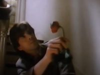  (1992) 
