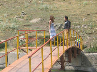      (2012) 
