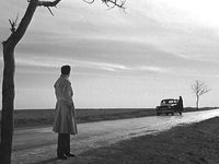   (1955)