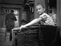  (1965)