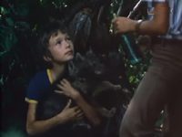    (1979) -  5