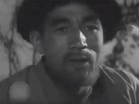  (1966) 
