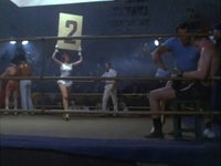-  ... (1982) 
