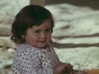    (1979) -  37